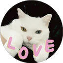 L
O
V