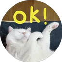 Lok!