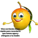 MANGOS. 19
