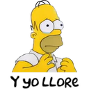 Y YO LLORE