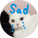 Sad