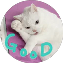 are