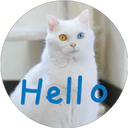 Hello