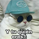 M ADAWG @Harley Stickers Y tu quién eres?