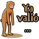 Ya
valio
COO