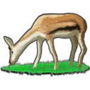 Cute animals meme style 3 9