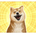 Cute animals meme style 3 3