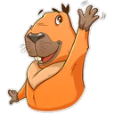 Capybara 16