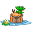Capybara 23