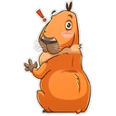 Capybara 14