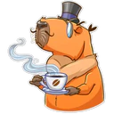 Capybara 15