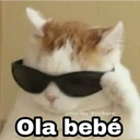 @Harley Stickers Ola bebé