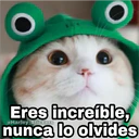 Eres increíble, @Harley Stickers nunca lo olvides