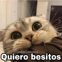 @Harley Stickers Quiero besitos