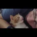 Buenas Noches. Mov 1