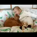 Buenas Noches. Mov 13