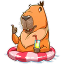 Capybara 9
