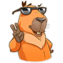 Capybara 10