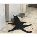 perros y gatos   3 16