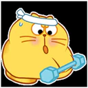 yellow cat 2 6
