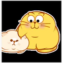 yellow cat 2 12