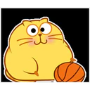 yellow cat 2 8