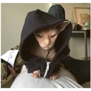 Gatitos enojados 10
