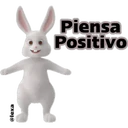 @lexa
Piensa
Positivo