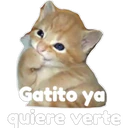 Gatito 1