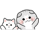 Cute Cats 24
