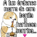 Gatitos para tu crush ฅ^ﻌ^ฅ 4