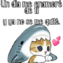 Gatitos para tu crush ฅ^ﻌ^ฅ 13