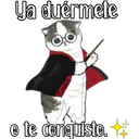 Gatitos para tu crush ฅ^ﻌ^ฅ 18