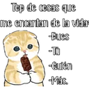 Gatitos para tu crush ฅ^ﻌ^ฅ 29