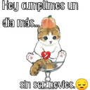 Gatitos para tu crush ฅ^ﻌ^ฅ 11
