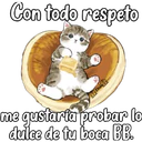 Gatitos para tu crush ฅ^ﻌ^ฅ 12