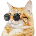 Gatitos 4 25
