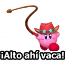 KIRBY 20