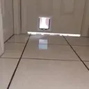 Perros Animados 3 22