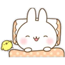 Rabbitt 2 16