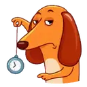 Perro   Salchicha 20