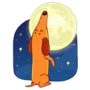 Perro   Salchicha 6