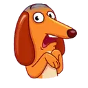 Perro   Salchicha 4