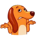 Perro   Salchicha 8