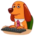 Perro   Salchicha 10