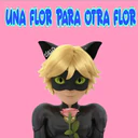 Amorcito   BB te amo 2 11