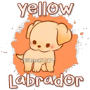 Dog Cute  1 4