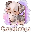 Dog Cute  1 6