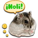 ¡Holi! Persy