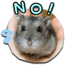 Hammy Hamster 2 13